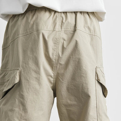 Fuji Shorts